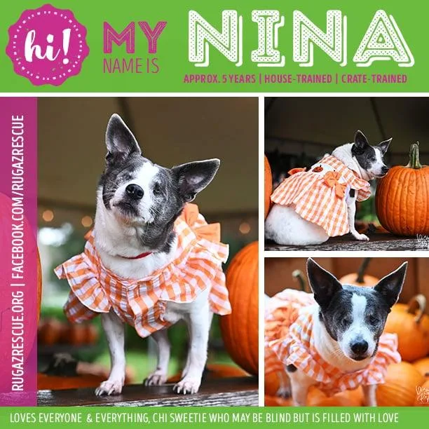 Nina thumbnail 4