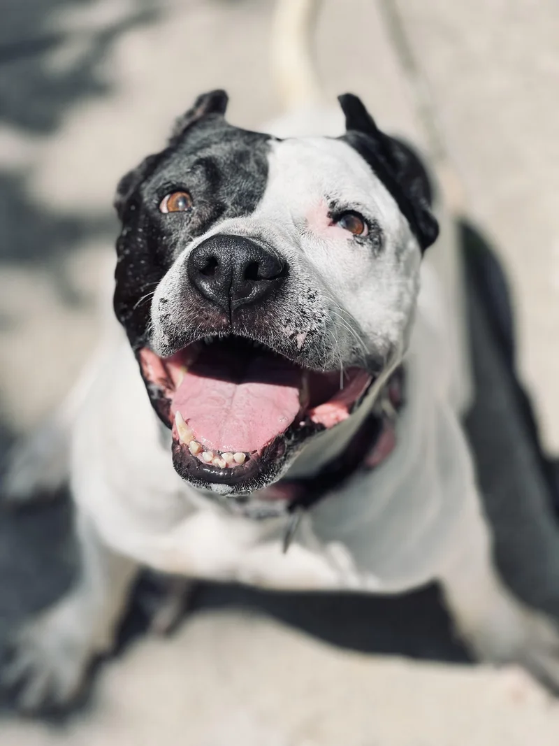 Luna