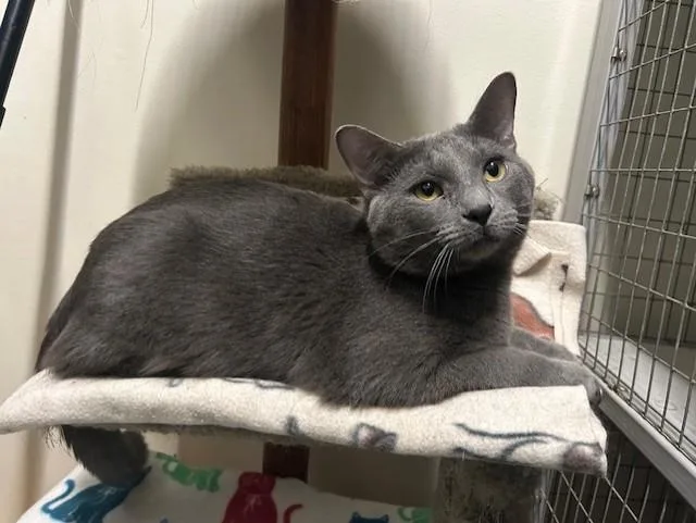 Biscotti & Maverick thumbnail 3