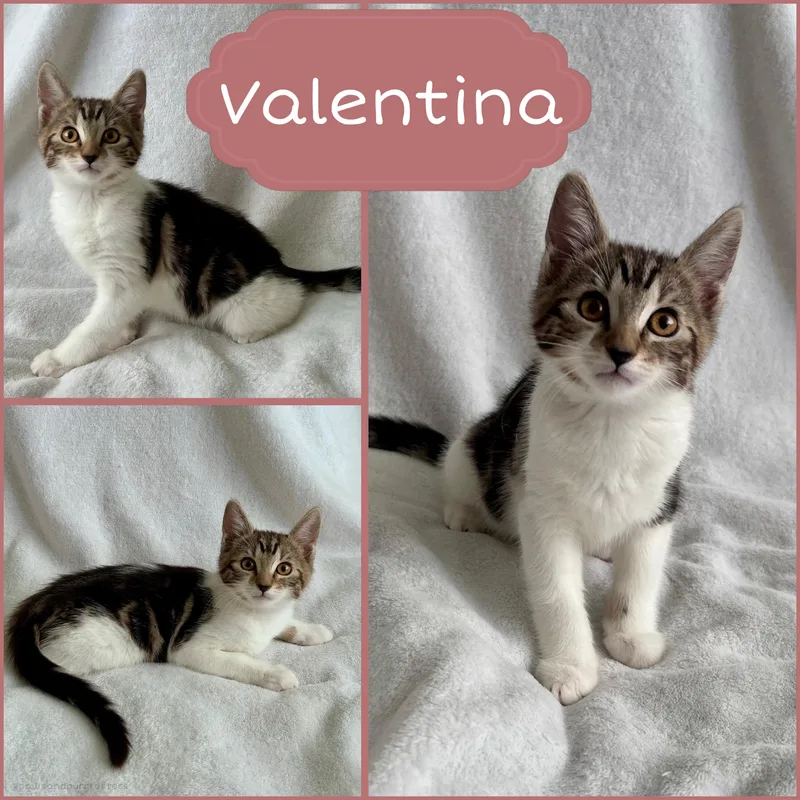 Valentina thumbnail 3
