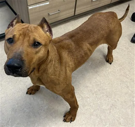 Christina Waguilera thumbnail 3