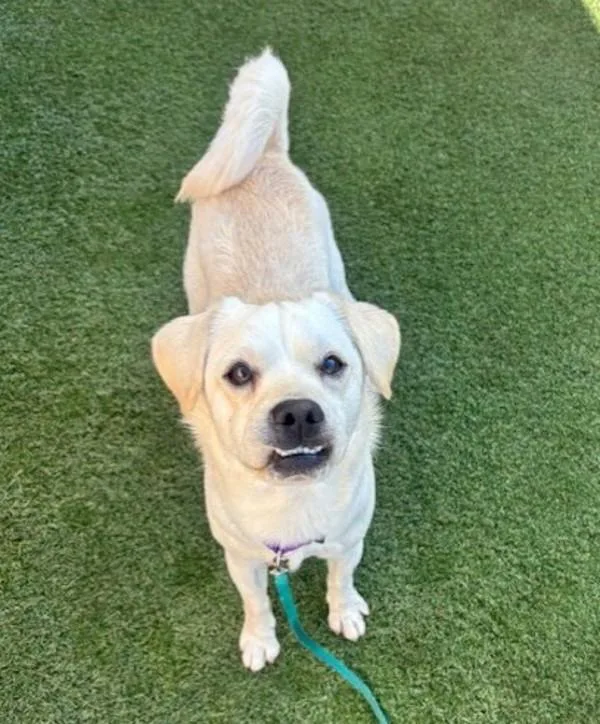 James Bond thumbnail 2