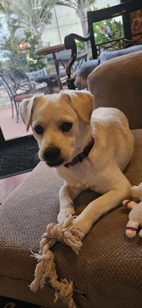 James Bond thumbnail 3