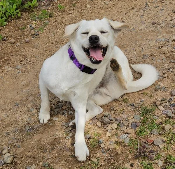 James Bond thumbnail 5