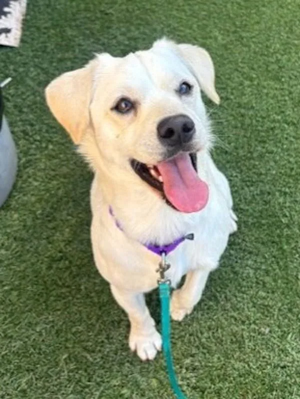 James Bond thumbnail 6