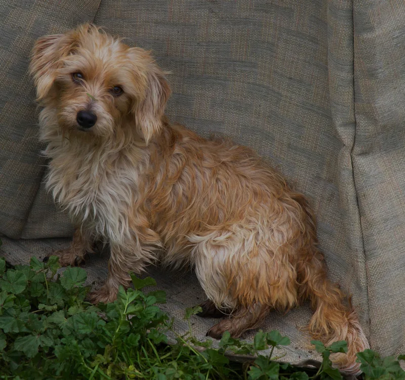 Francine thumbnail 2