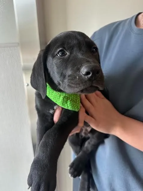 Charlie