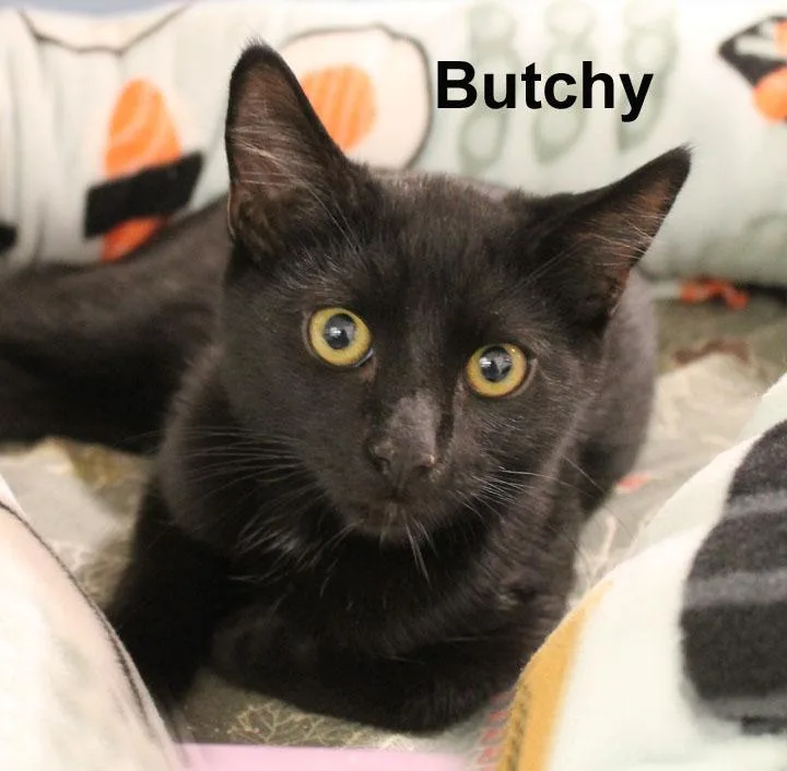 Butchy Fuhr. thumbnail 2