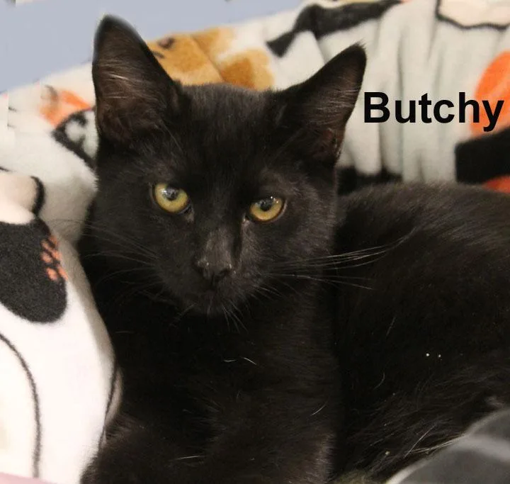 Butchy Fuhr. thumbnail 3