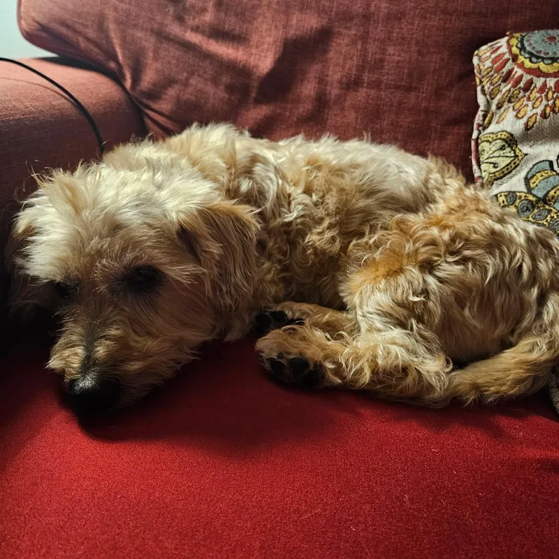 Arthur