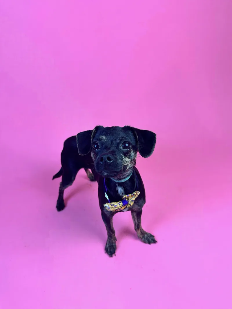 Squiggy thumbnail 3