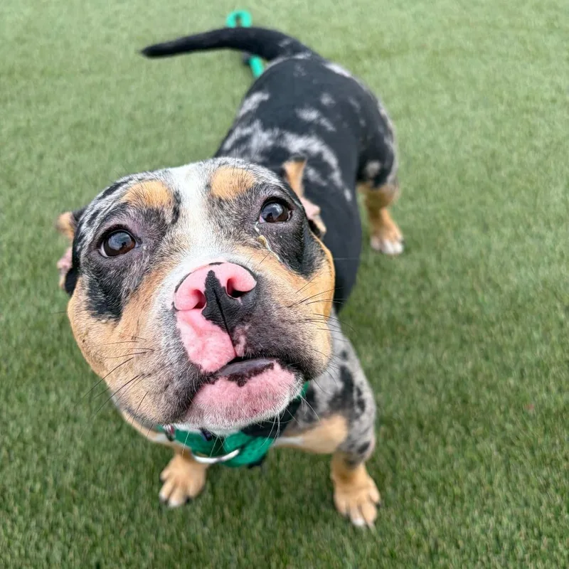 Bubbles thumbnail 3