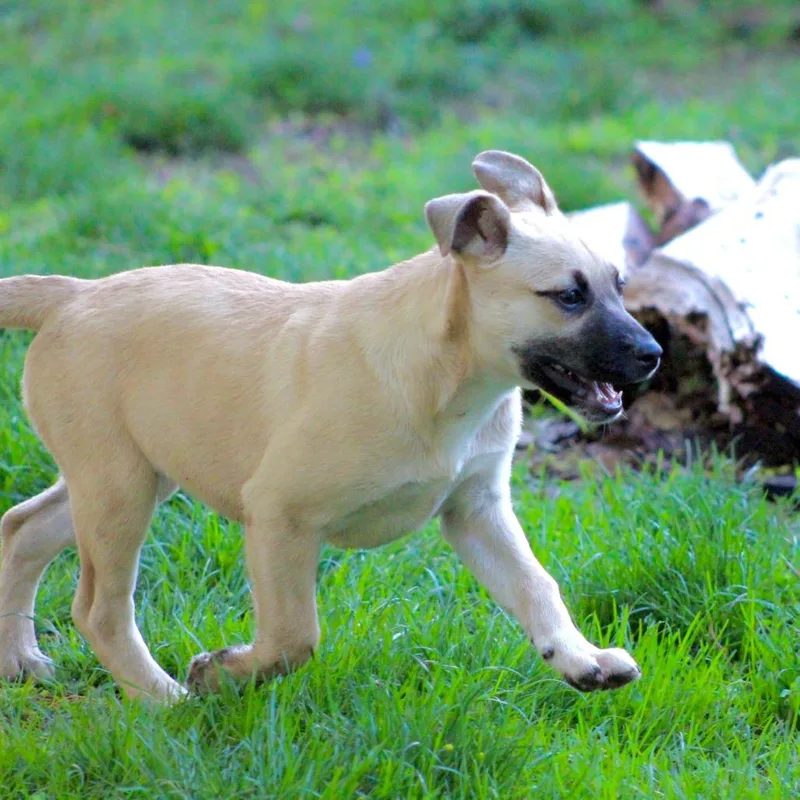 Ny Lakely Avail Apr thumbnail 3