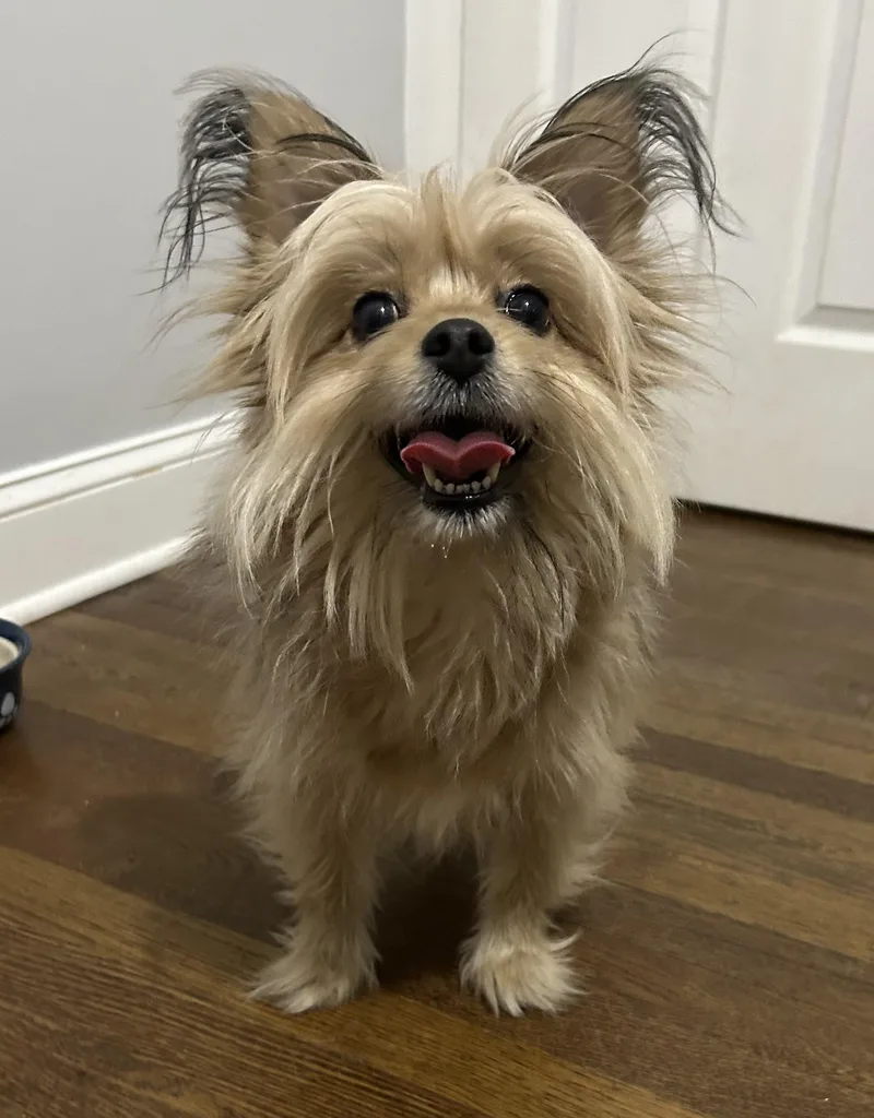 Laverne Aka Mama thumbnail 3