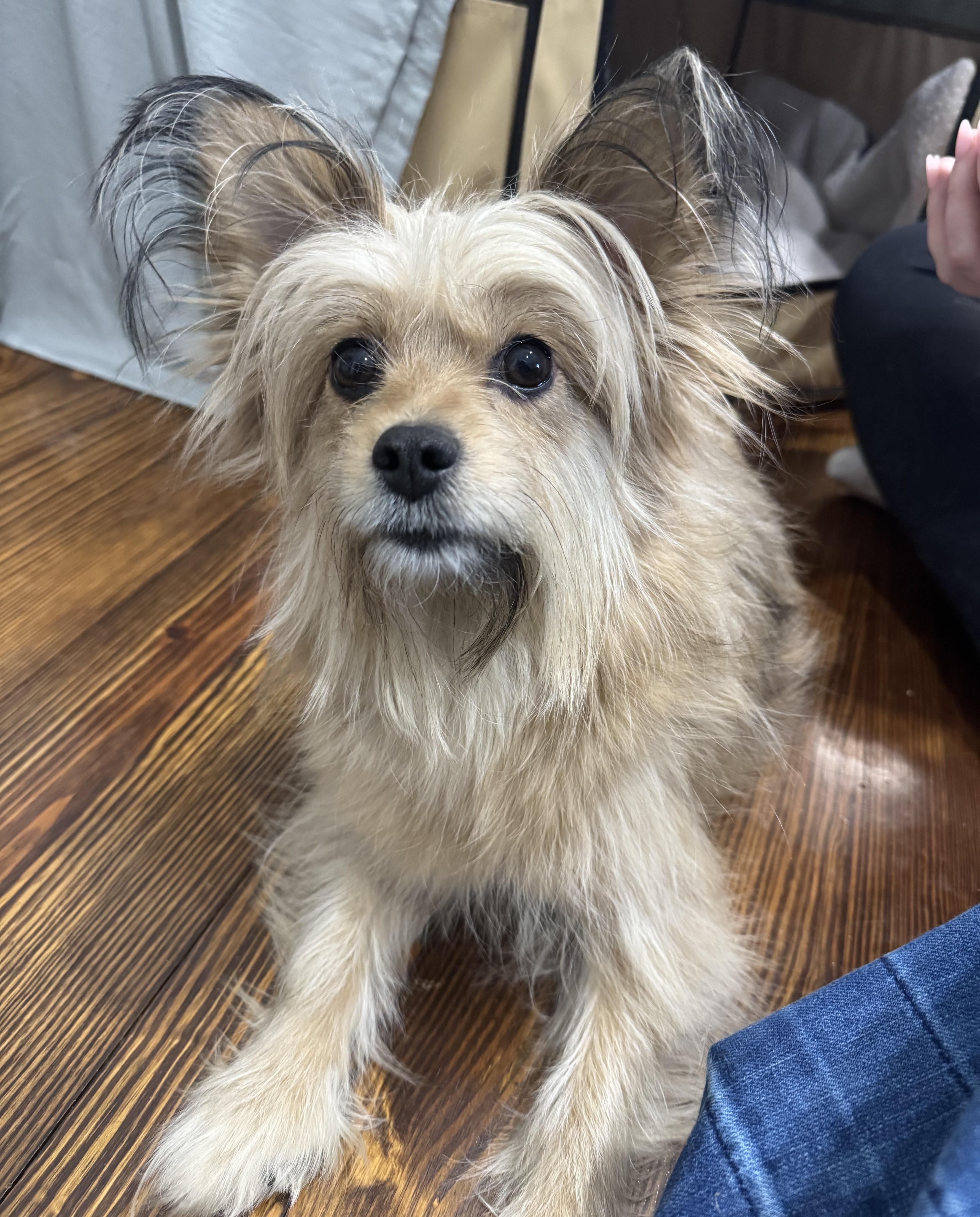 Laverne Aka Mama thumbnail 4