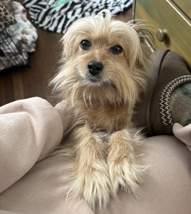 Laverne Aka Mama thumbnail 5