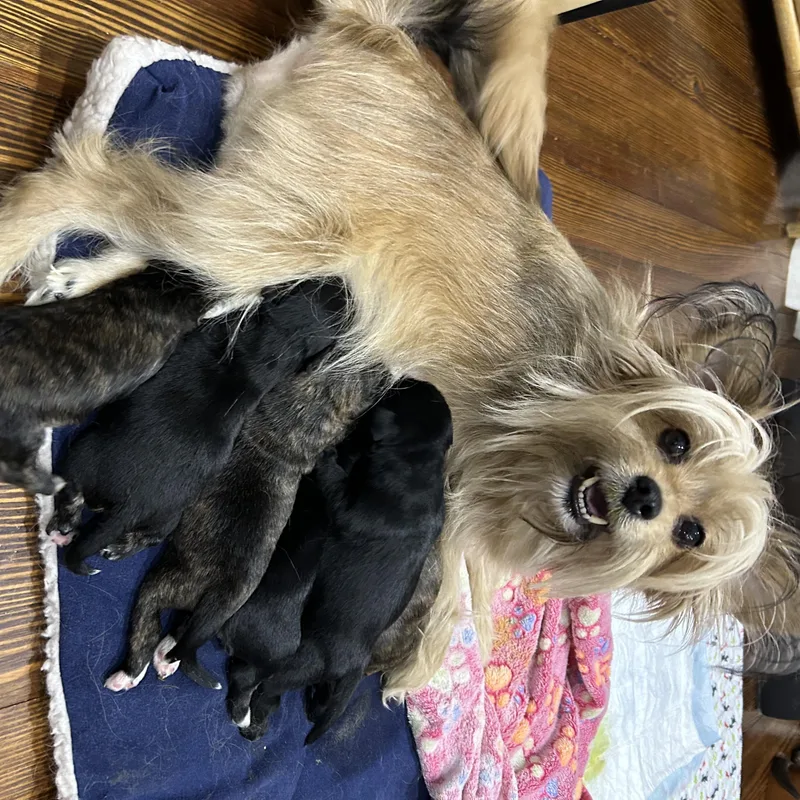 Laverne Aka Mama thumbnail 6