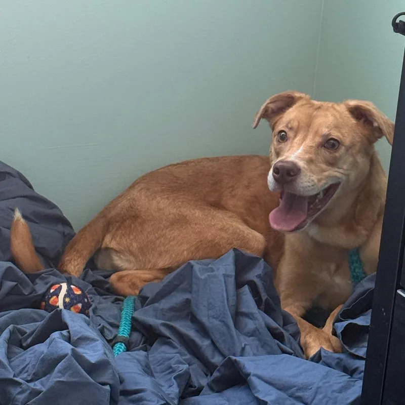 Lady Fka Madam thumbnail 5