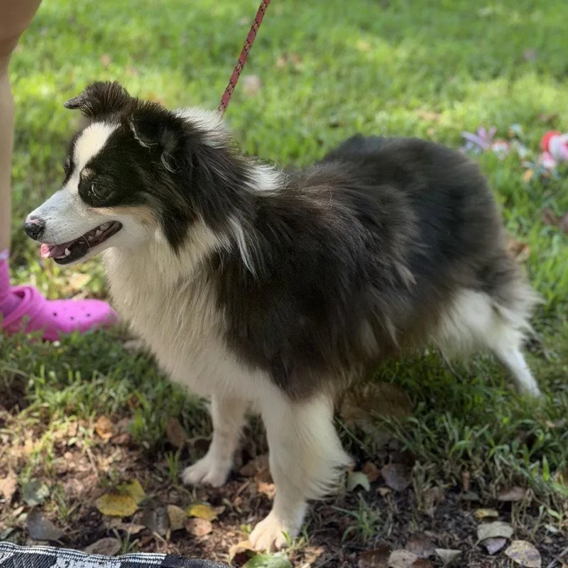 Twiggy