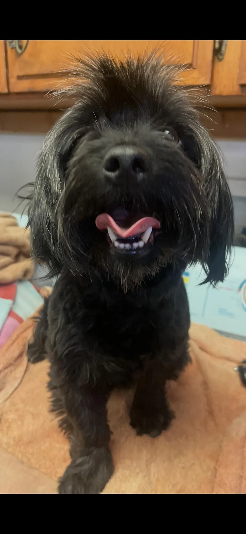 Charlie  The Sweet thumbnail 2