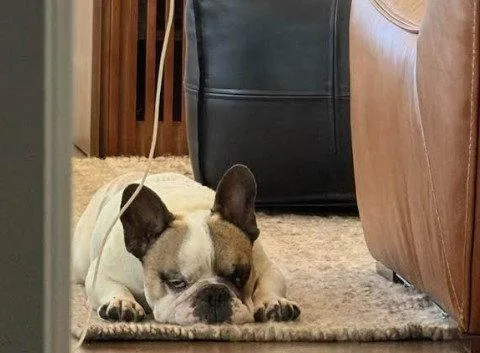 Oscar