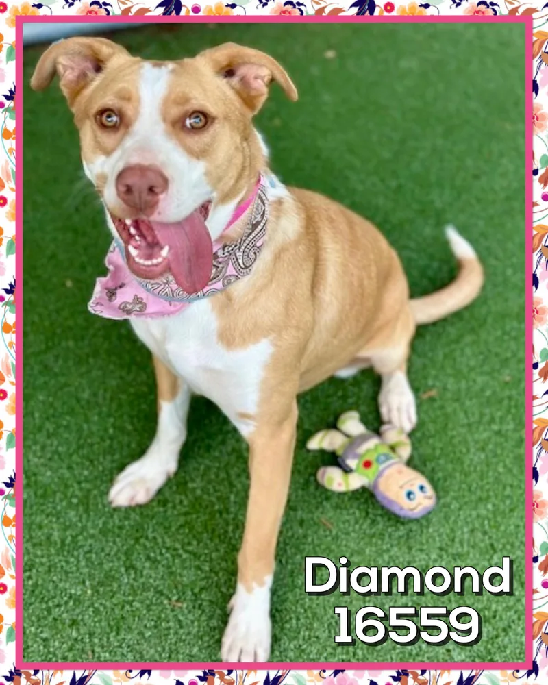 Diamond thumbnail 3