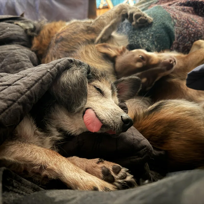 Nellie thumbnail 5