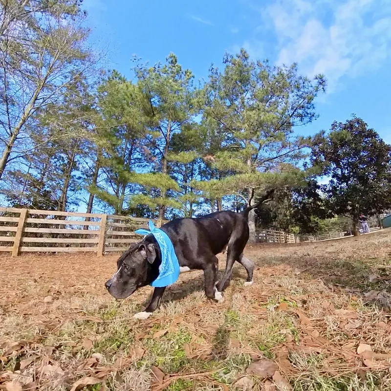 Herschel ~~ Visit Me thumbnail 2