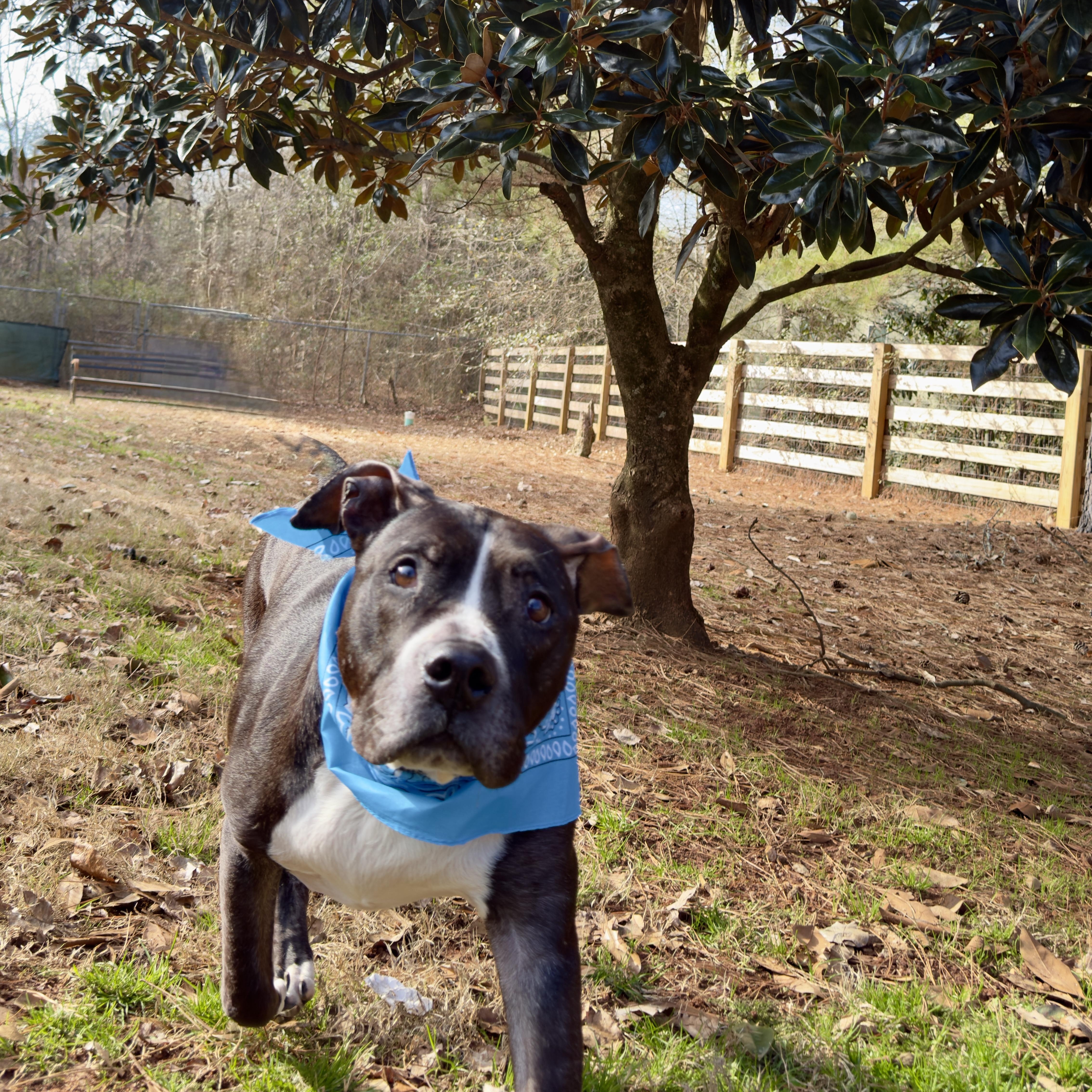 Herschel ~~ Visit Me thumbnail 4