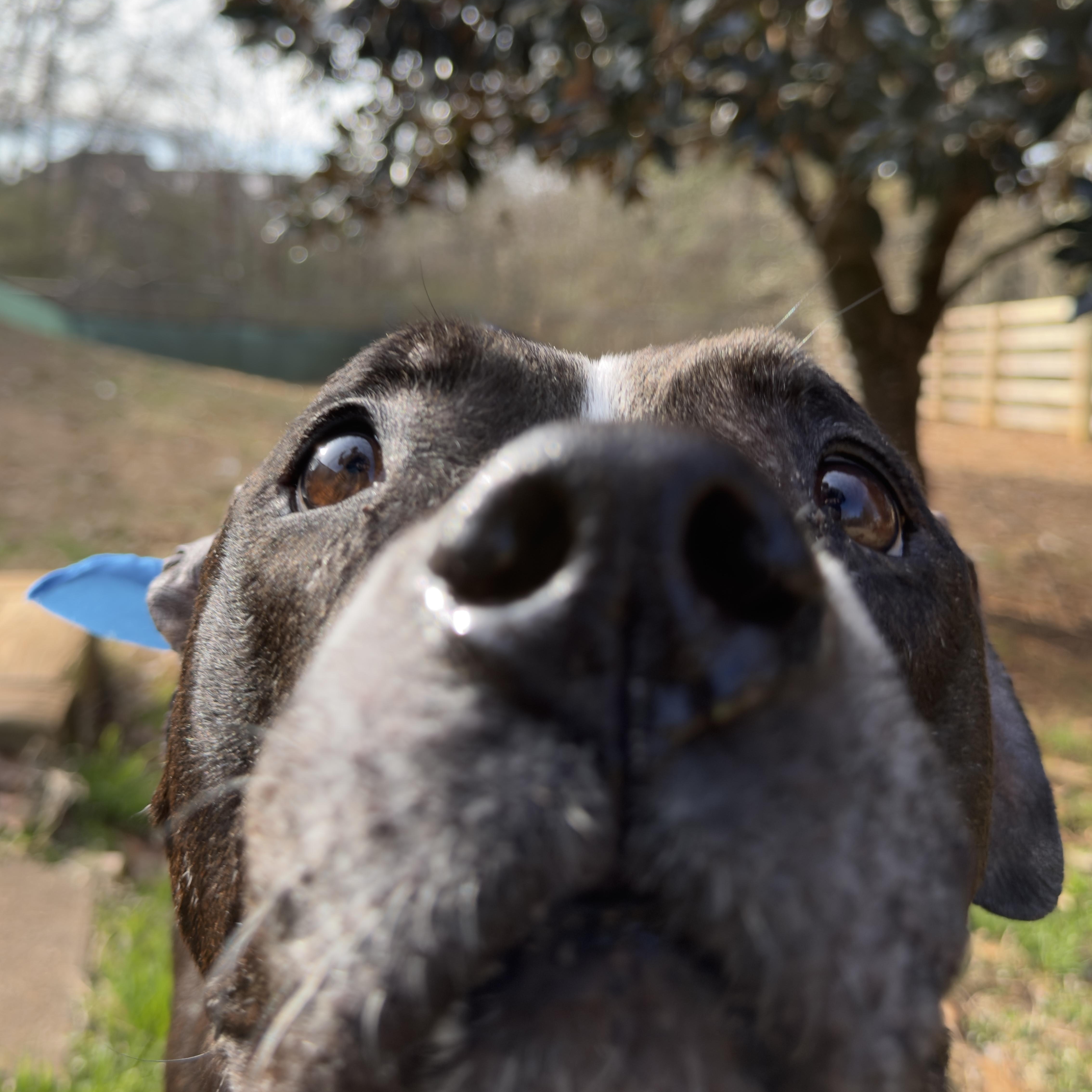 Herschel ~~ Visit Me thumbnail 5