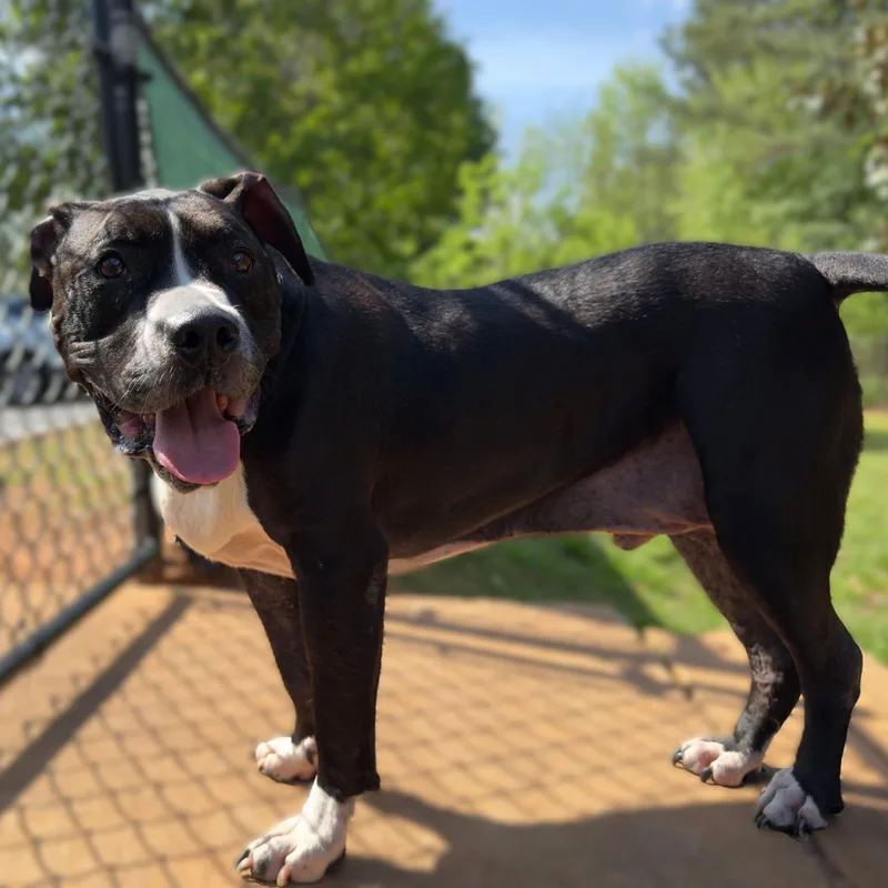 Herschel ~~ Visit Me thumbnail 6