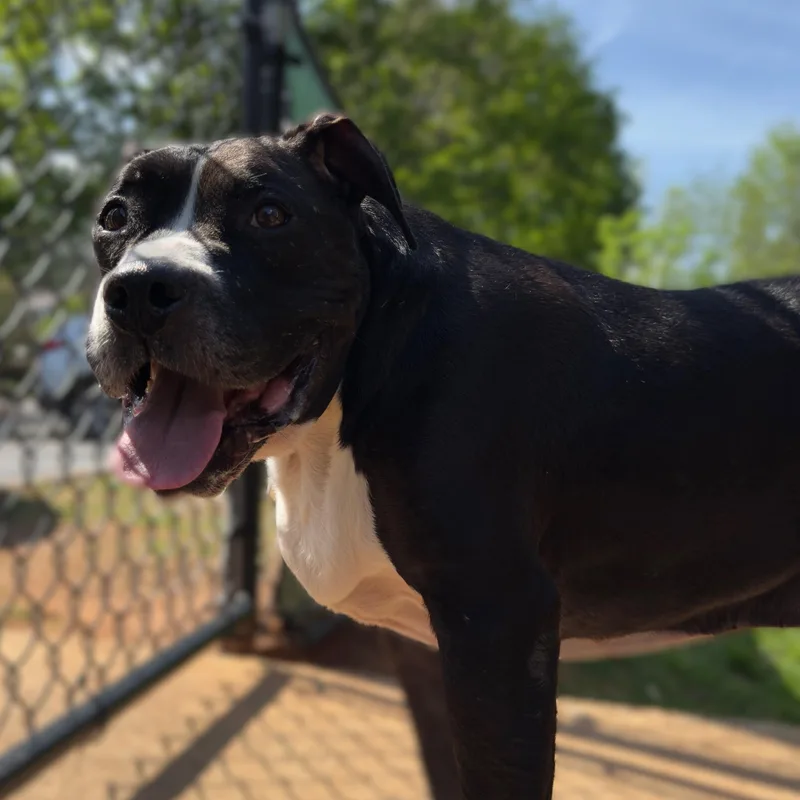 Herschel ~~ Visit Me