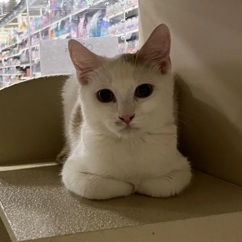 Kentucky thumbnail 3