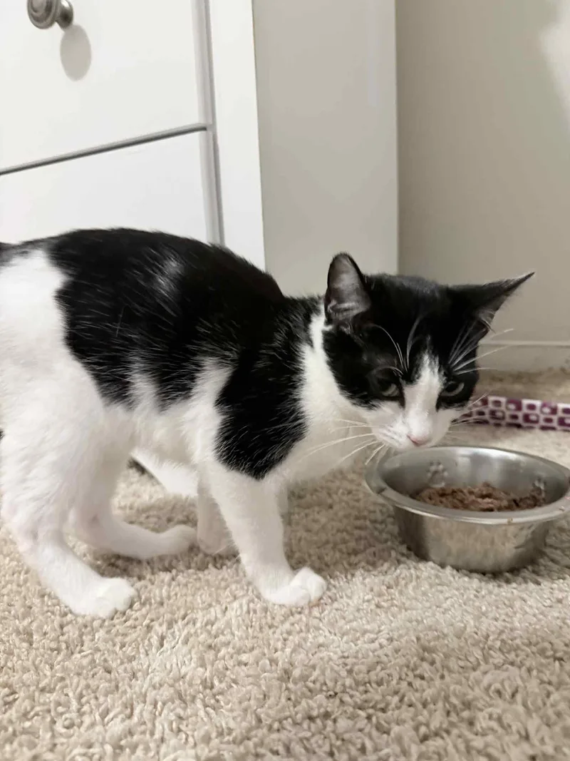 Nyla Harper thumbnail 2