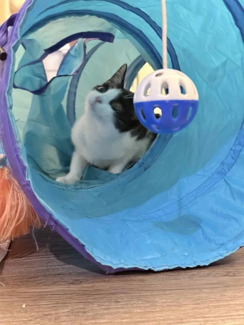 Nyla Harper thumbnail 3