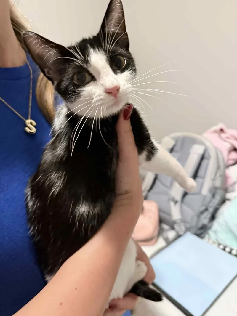 Nyla Harper thumbnail 4