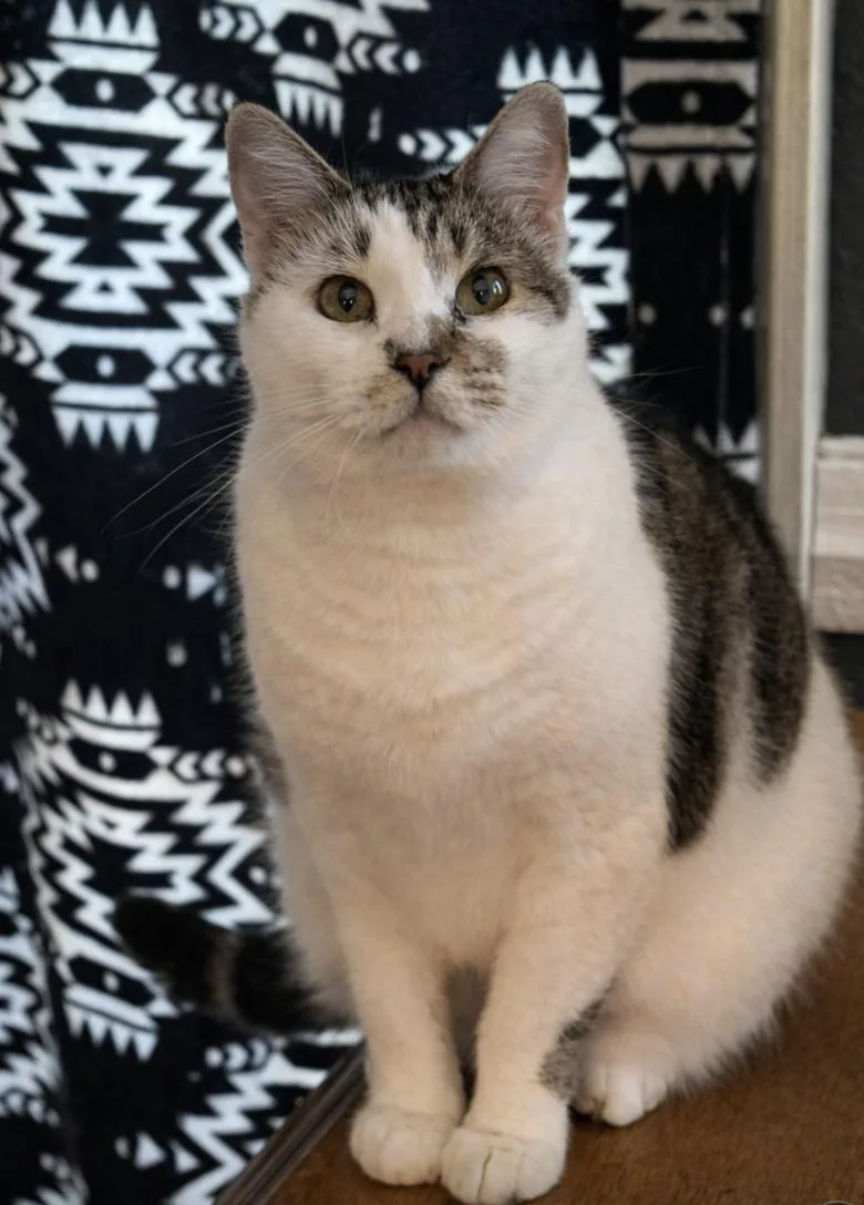 Princess  Sweet Mama thumbnail 2