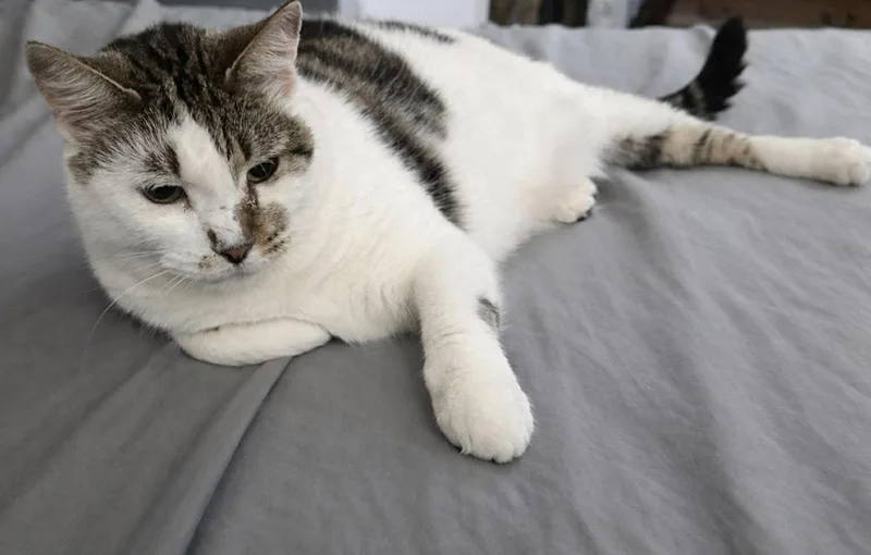 Princess  Sweet Mama thumbnail 3