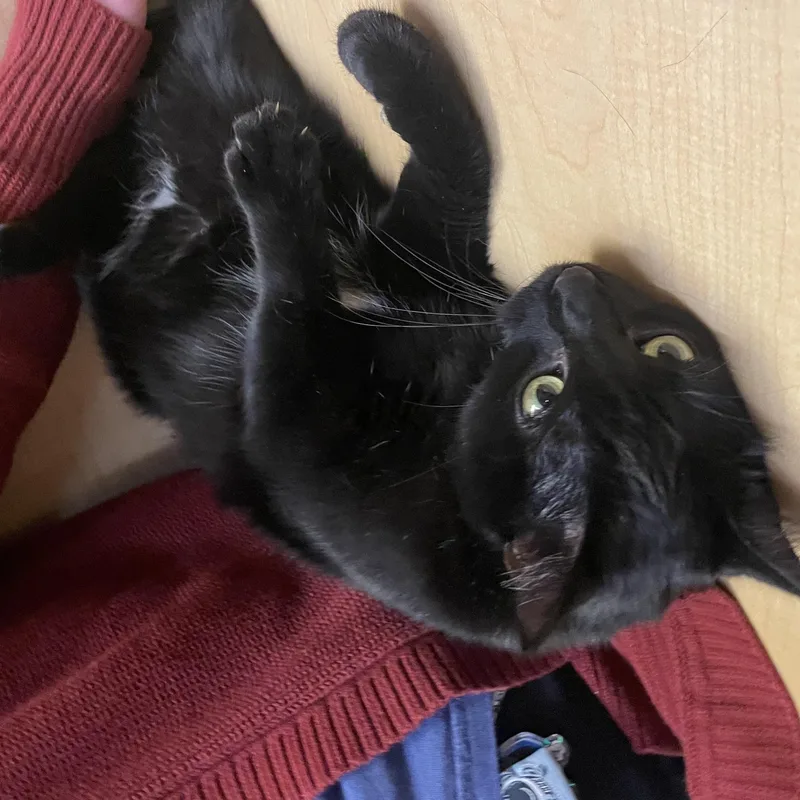 Sabrina thumbnail 2