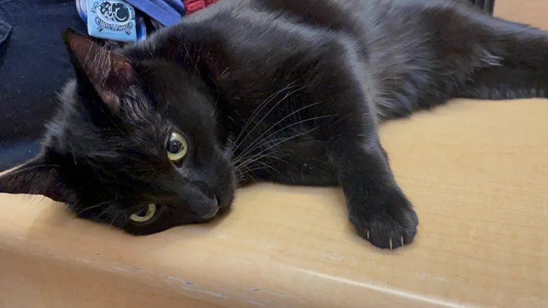 Sabrina thumbnail 3