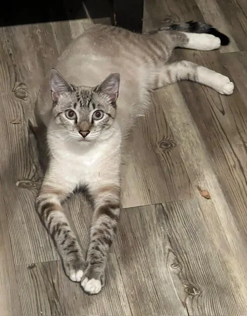 Salvador thumbnail 2