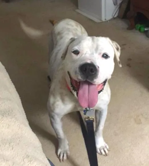 Willamena thumbnail 2