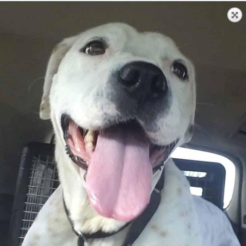 Willamena thumbnail 3