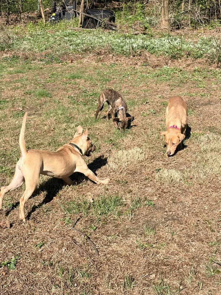 Gigi The Gorgeous thumbnail 2