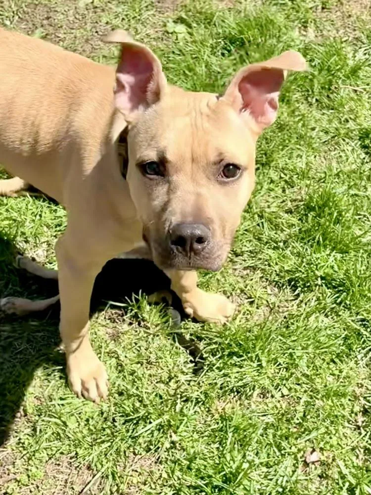 Gigi The Gorgeous thumbnail 4