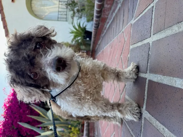 Milky Way thumbnail 5