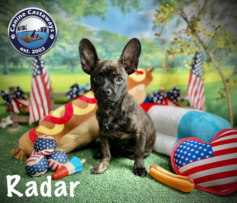 Radar thumbnail 2