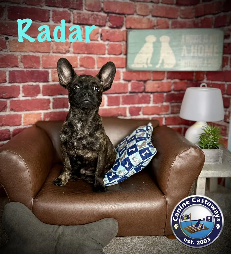 Radar thumbnail 3