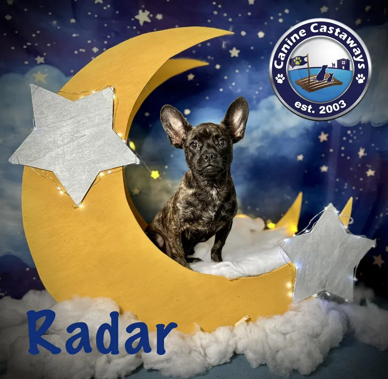 Radar thumbnail 4