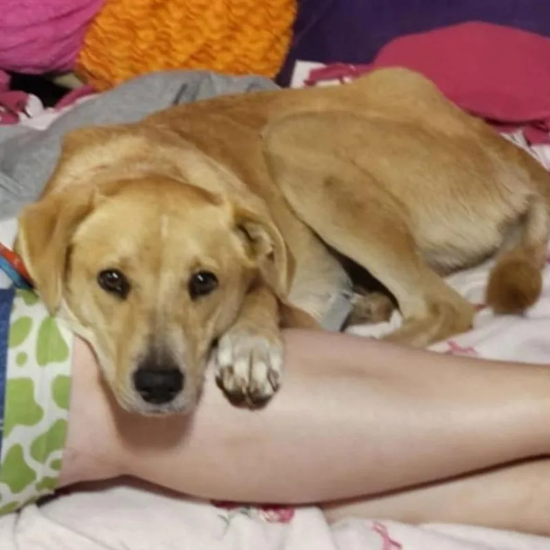 Peach D thumbnail 6